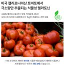 더룰라바이
