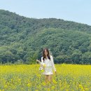 참자연 어린이집 | 용인 가볼만한 곳 기흥호수공원 유채꽃 실시간 후기 주차