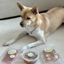 멈머다냥 | 대구 강아지 수제간식 추천 멈머다냥 급여후기