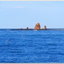 장고도8 이미지