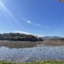 월평지 | 경산 러닝 하기 좋은 곳 감못 1.7km 우레탄 평지코스