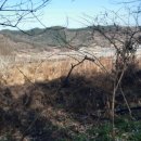 학산목장 이미지