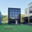 꼰띠고애견펜션 | 충남 여행 태안 안면도 애견 동반 숙소 독채 펜션 꼰띠고애견펜션 바베큐 수영장 반려동물 운동장