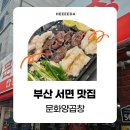 에이6양곱창 | [부산 서면 맛집] 노포 감성 이모카세로 즐기는 문화양곱창 A-6 내돈내산 후기