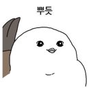 바오스킨앤왁싱
