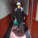 올인모텔 이미지