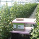 연성농장 이미지