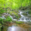 곡성-175 이미지