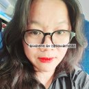 자유로운사색가 | 제주 자유로운사색가 2인 도미토리 여자 혼자 여행기 숙소 후기