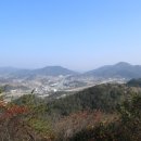 대섬 Daum카페