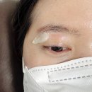 연서로21길 | 은평구 왁싱 여자 눈썹 왁싱 디바인왁싱 후기