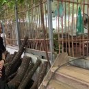 능금농장2 이미지