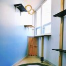 냥냥호텔 이미지