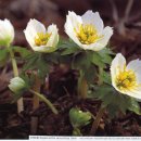 수원-2003 이미지