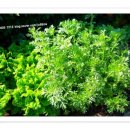 밀물민박 이미지