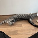 하랑민박 이미지