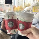 고창 | 전주사는 초보 러너의 고창 마라톤 후기