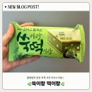 서주에서 쑥떡 아이스크림이 나왔다고?! 할매입맛 저격 아이스크림 “ 쑥이랑 떡이랑 ” 솔직 후기!