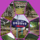 송화펜션 이미지