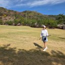 부곡 CC | [부곡CC 라운딩 후기] 벚꽃 골프장 추천! 주말 1부 가격·코스·분위기 총정리