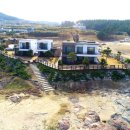 더케이프 이미지