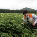 nkculture:남한 배우, 북한 ‘감자꽃바다’에 가다! 이미지