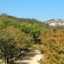 서울숲10 이미지