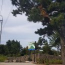 오크라리조트 이미지