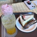 이른비스테이 이미지