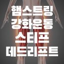 에이플러스컨벤션