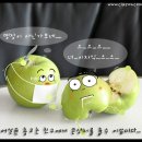 사진동화