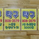 금천탁구교실