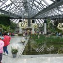 부국개발주식회사 여미지식물원 이미지