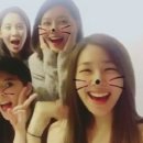 회동