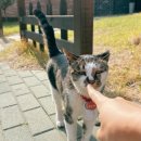 엘리하우스 | 경주 황리단길 감성숙소 추천｜엘리 게스트하우스 꿀잠 후기