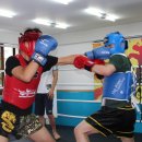 은평 삼산체육관 이미지