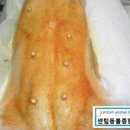 센텀동물종합병원 이미지