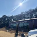 포레스트569