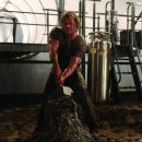 컬럼플러스 이미지