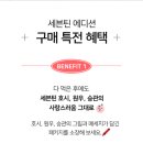 큐브세븐틴 이미지