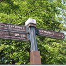 새솔학교 이미지