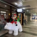 라라코스트 | 시흥 배곧 놀이방 있는 가성비 파스타 맛집 라라코스트 후기