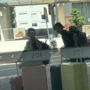 크로스핏 양구 | 호주 워홀 D+8,9,10 | 이사하기! | 크로스핏 토리안 | 골드코스트 | 서퍼스 파라다이스 | 호주 마라탕...