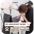 털이몽땅 이미지