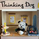 소노펫 보딩 이미지