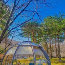 댕댕맛집 이미지