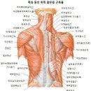 도로시하우스 이미지