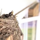 더원농장 이미지