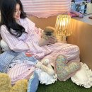 강남강아지미용 르달링 살롱 | 찾고 찾아 결정한 강남 포메라니안 분양 후기