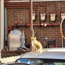 튼튼해짐 이미지